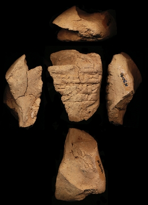 N3091