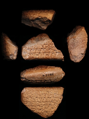 N3099