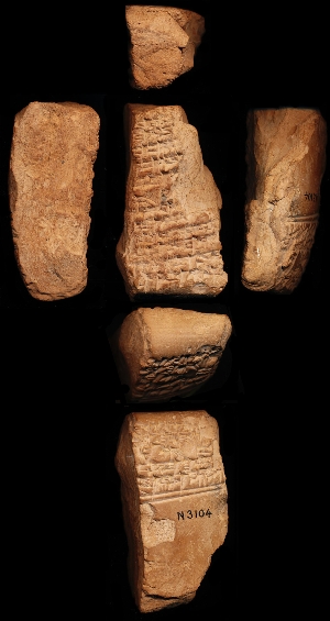 N3104