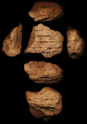 N3113