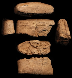 N3116