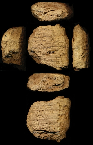 N3117