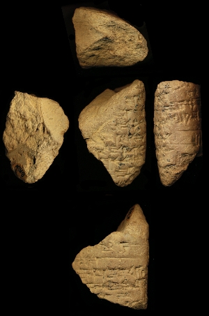 N3118