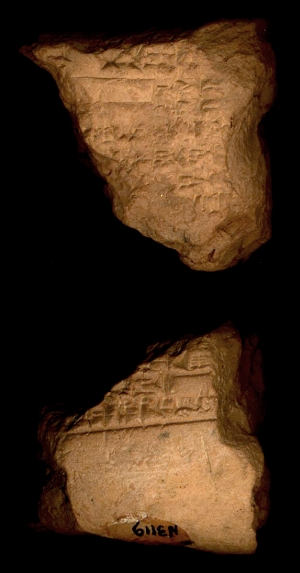 N3119