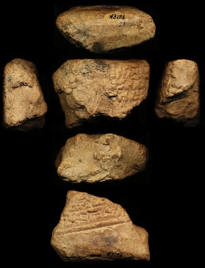 N3121