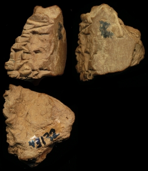 N3132