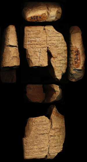N3134