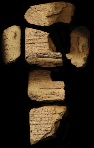 N3135