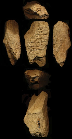 N3139