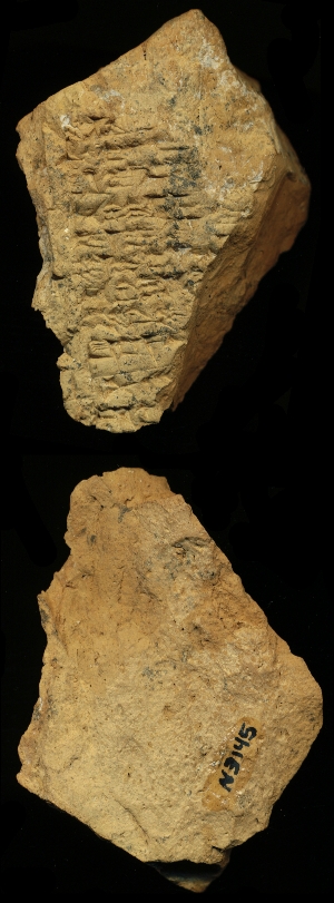 N3145