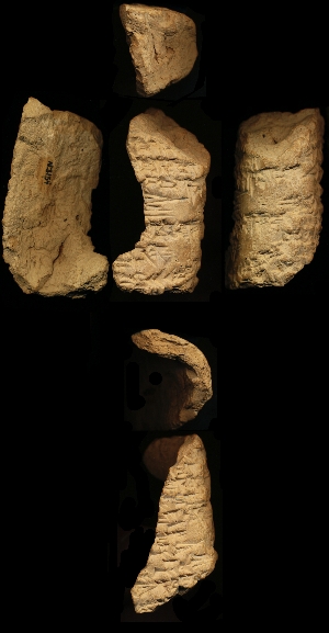 N3154
