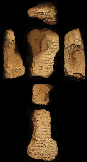 N3157