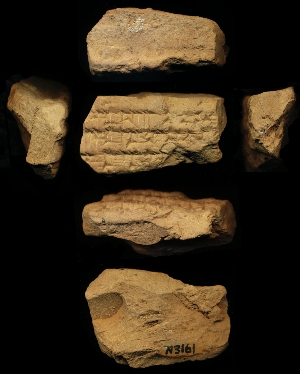 N3161