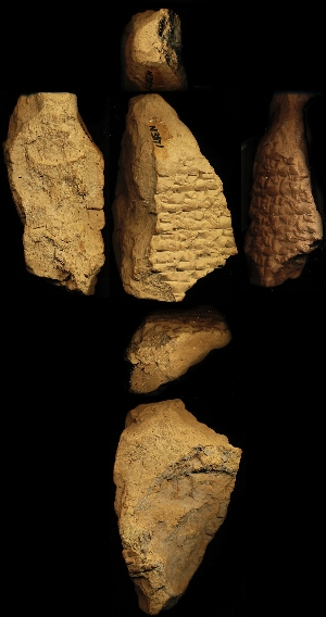 N3171