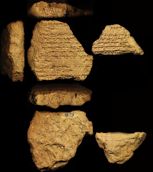 N3173