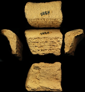 N3185