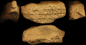 N3191