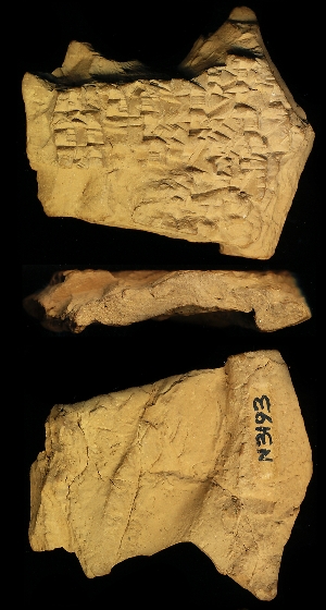 N3193