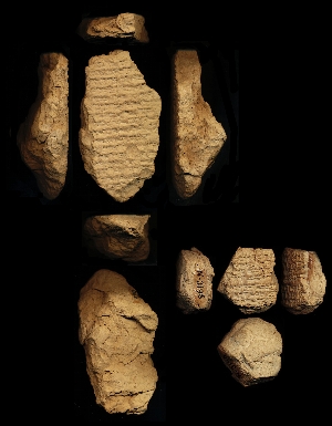 N3169