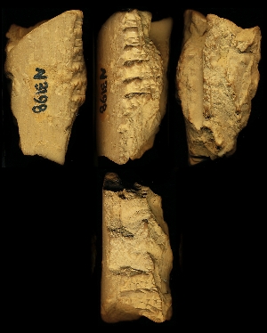 N3198