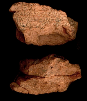 N3203