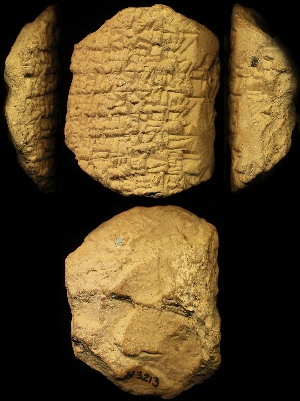 N3213