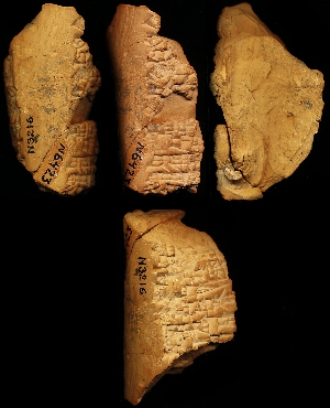 N3216