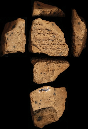 N3226