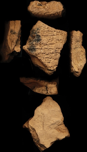 N3231