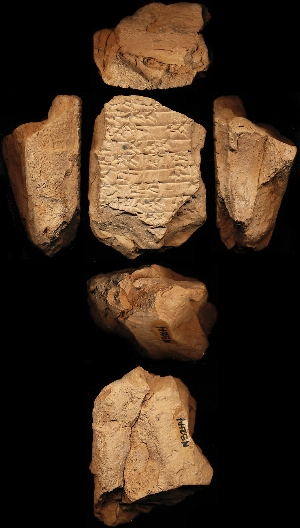 N3244