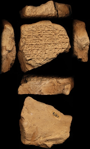 N3246
