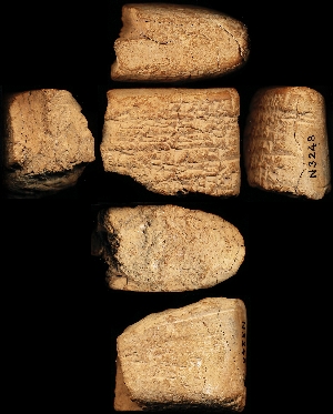 N3248