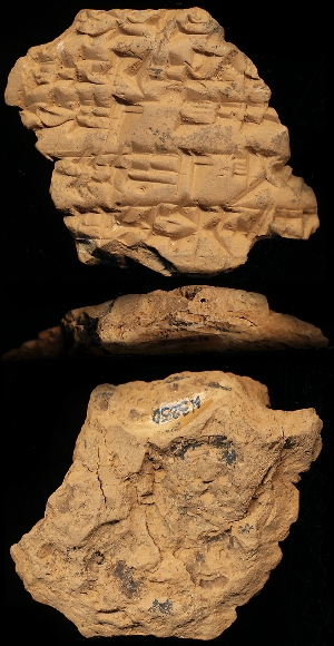 N3250