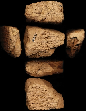 N3251