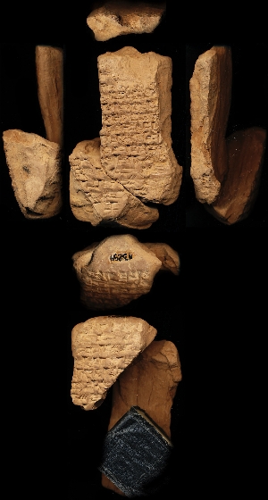 N3254