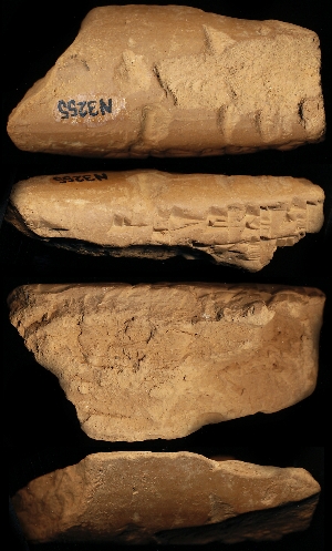 N3255