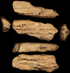 N3256