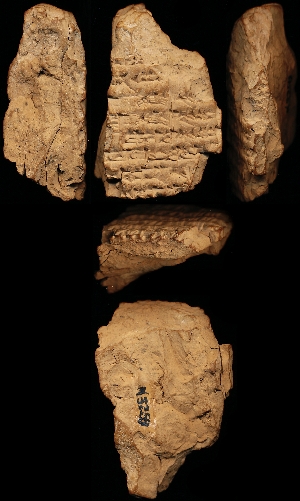 N3259