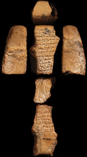 N3289