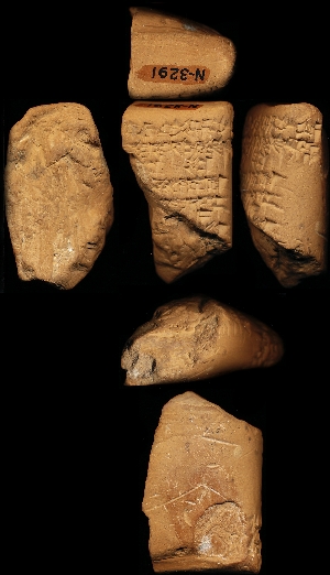 N3291