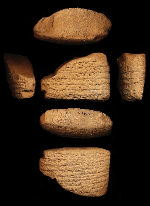 N3298