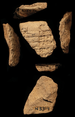 N3314