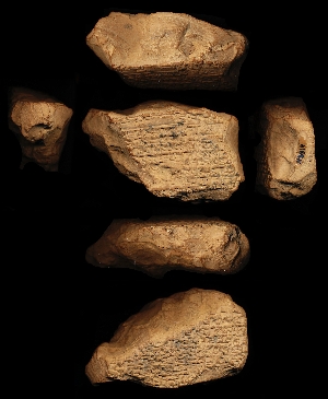 N3319