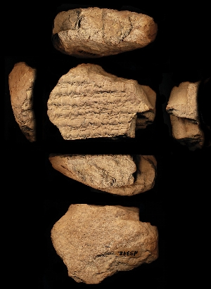 N3342
