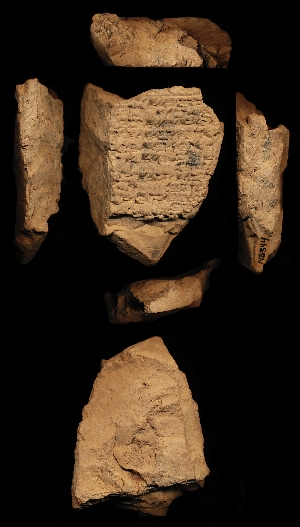 N3344