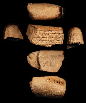N3350