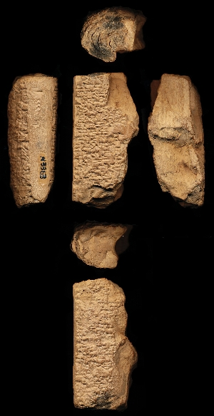 N3363