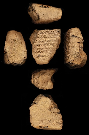 N3365