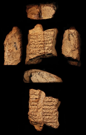 N3338