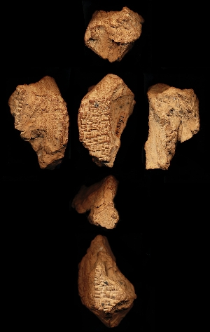 N3391